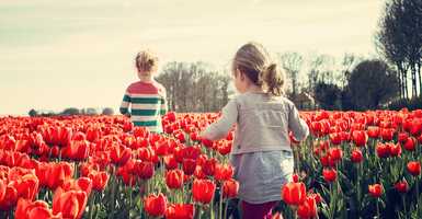 Tavaszi gyerekprogramok 3 tavaszi programötlet gyerekeknek